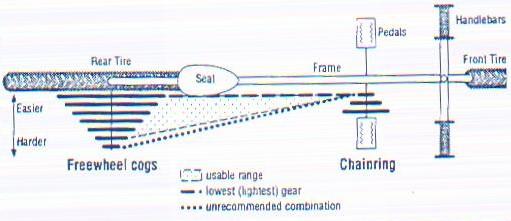 Image from TCC CB Instructors Manual