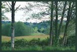 Bainbridge Island Countryside - BI Studio Tour Photo.