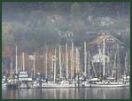 Bainbridge Marina Scene from the Ferry.