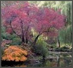 Butchard Gardens, Canada.