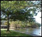 Coulon Park at the South End of Lake Washington.