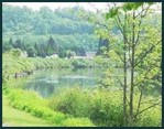 Scene along the Duwamish River.