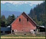 Enumclaw Farm in Rural King County.