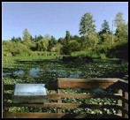 Juanita Bay Park near Kirkland.