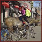 Members playing on Downtown Kirkland Cow Sculpture.