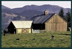 Farm in Rural Snohomish County.